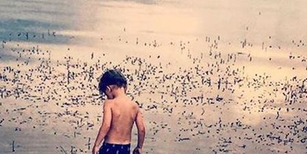 Mum Urges People To “Judge Less Pray More” For Family of Boy Dragged Into Water By Alligator