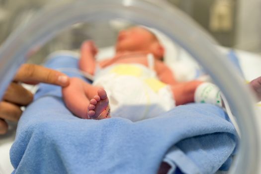 Premature baby SIDS risk