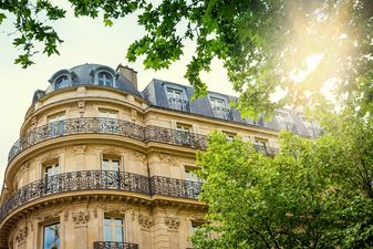 ‘How The Green Army Helped Paris Recover Its Joie De Vivre’