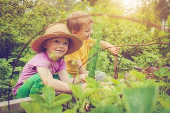 This Is Why You Should NEVER Use Weedkiller In Your Garden