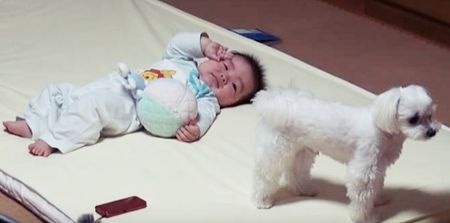 This Puppy Has Figured Out How to Hush A Crying Baby
