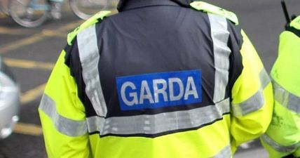 Gardaí Investigate Horror Rape Attack in Dublin