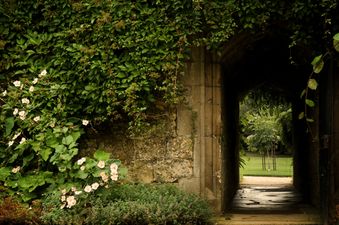 [CLOSED] Competiton: Win 6 Family Tickets to The Cadbury Dairy Milk Buttons Secret Garden