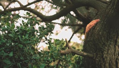 Charity Warns Pokémon Go Is The Perfect Cover For Paedophiles