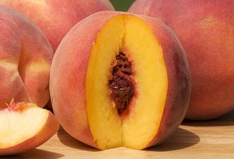 Survey Reveals 44 % Of Women Can’t Identify A Vagina. Seriously