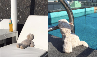 Hotel Used Social Media To Look For Little Girl Who Left Her Teddy Behind (And This Is TOO CUTE)