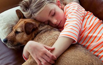 More Kids, More Pets, More Happiness?