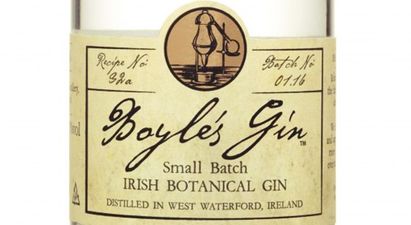 Stop Everything: Aldi’s Award-Winning Irish Gin Is Available Now (For a Snip)