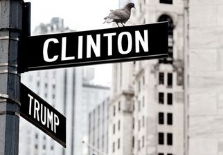 5 Facts To Make You Sound Like An Election Expert