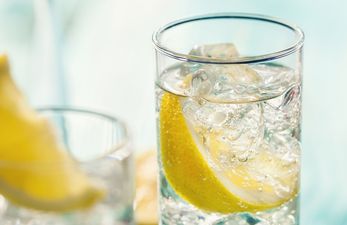 Love Gin? Trying To Get Fit? Want To Do BOTH? Read On…