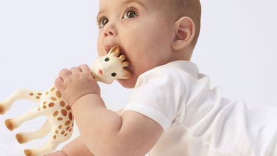 This Is What You All Had To Say About THAT Sophie La Girafe Story Today