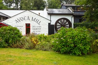 Avoca Recalls Hummus And Colcannon Over Listeria Concerns