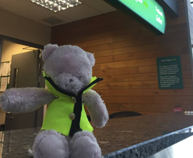 “Help me find my owner” – Cork airport’s adorable appeal to find this teddy’s companion