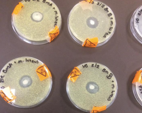 You can see why this breastmilk experiment has gone massively viral