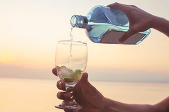 Pack your bags: There’s a GIN CRUISE about to set sail from Dorset