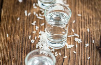 Anti-ageing with a twist: how we can all fight wrinkles with… booze!