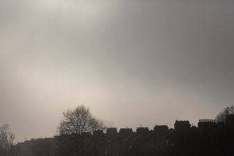 Breaking: One-year-old boy dies and girl critically ill after incident in London