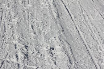 Eight school children feared dead after avalanche at ski-resort