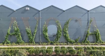 There is a brand new Avoca opening today and we have already had a sneak peak