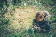 9 family friendly egg-hunts around Ireland to bring the kids to this weekend