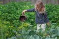 6 lessons I learned about life from gardening with my children