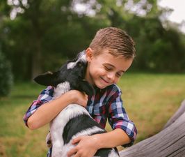 Thinking about a family pet? 4 questions to ask yourself first