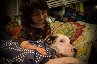 This adorable 8-year-old boy rescues street dogs in Mexico