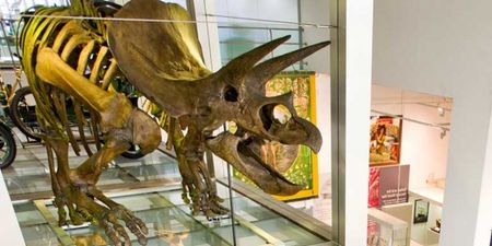 7 fun (and educational) places around Ireland to bring the kids to this summer