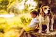 Children who have dogs experience less stress