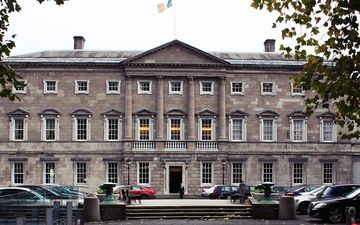 Someone made A LOT of attempts to access porn at Leinster House