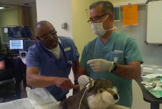 Surgeons stitch up beloved stuffed toy for special needs patient