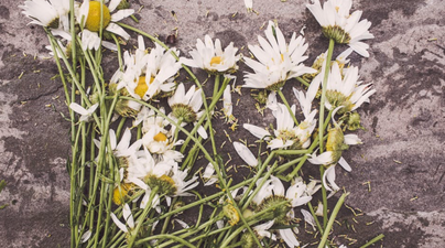 Dying could be nicer than you’d think, according to research