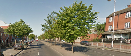 A taxi passenger has died after a crash in Dublin City