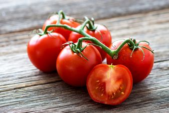 Turns out we’ve all been storing our tomatoes the wrong way