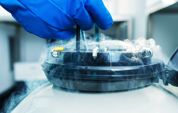 Educated women are freezing their eggs over a lack of suitable men