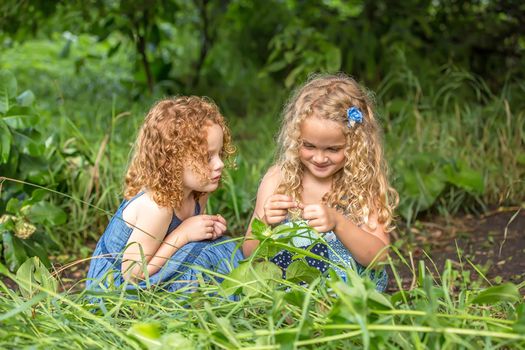 Irish twins siblings close in age close age gap between children