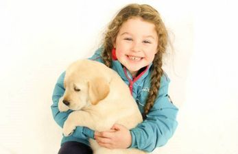 ‘A dream come true for many families:’ 8 autism assistance pups are born!