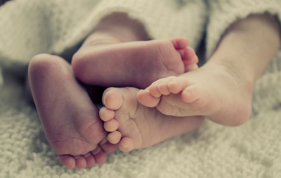 Brain dead mum delivers twins