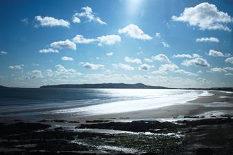 Bathers warned to beware of dangerous jellyfish spotted in Dublin