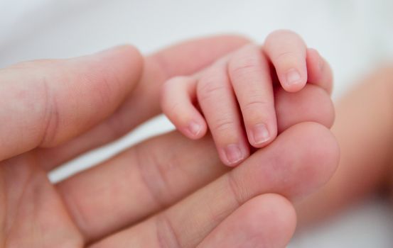 Newborn fingers