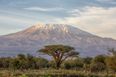 An Irish woman has died while climbing Mount Kilimanjaro