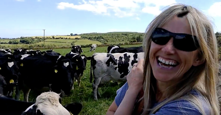 Sharon Shannon serenading cows is the best thing you’ll see today