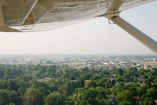 frozen pork falls from sky Florida pigs fly