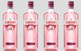 Mark your diary! The release date for Gordon’s limited-edition pink gin