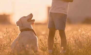 Mum asks for advice after watching her four-year-old kill family puppy