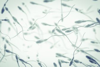 “Urgent wake-up call” for human race as sperm counts plunge
