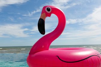 A bunch of lads floated down the Liffey on unicorns and flamingos