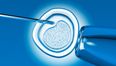 Report claims DNA in human embryos modified for first time