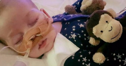 ‘Our beautiful little boy’ – Charlie Gard has died