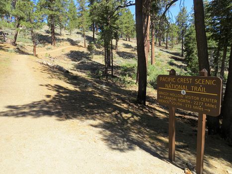 David O'Sullivan missing